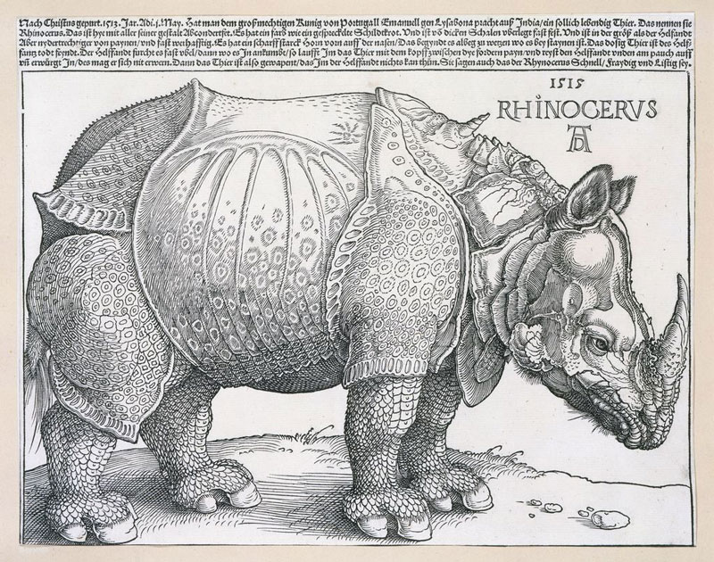 Albrecht Durer - Rhinoceros - 1515
