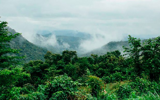 Planean proteger cuencas en las zonas fronterizas Radio Mickyandoniehn